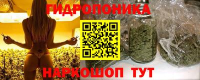 скорость Кимры