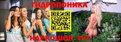 таблы Кингисепп
