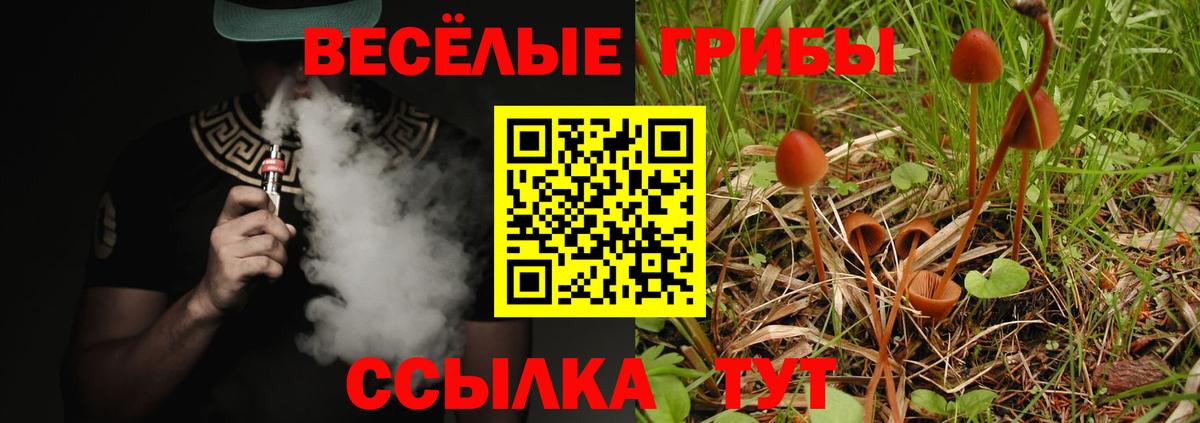 Псилоцибиновые грибы Cubensis Черногорск