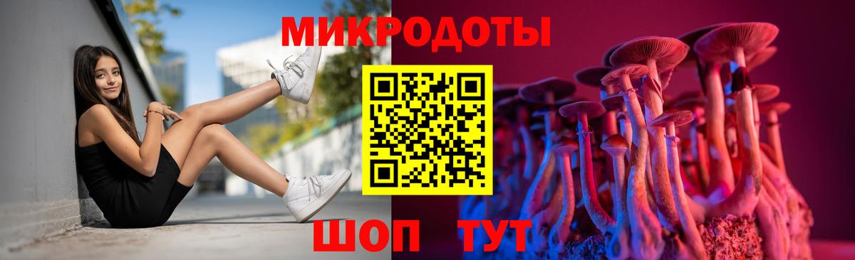 Псилоцибиновые грибы мицелий  закладка  Черногорск  Вход с VPN 